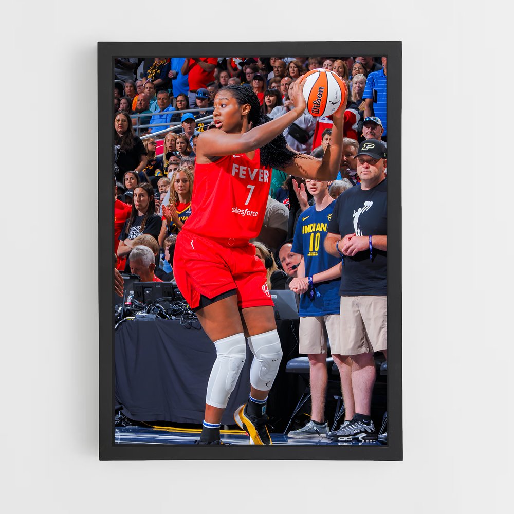 Poster Basketball Fever (vue 2)